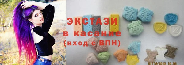 индика Новодвинск