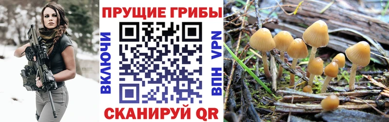 цены   даркнет как зайти  Галлюциногенные грибы GOLDEN TEACHER  Полтавская 